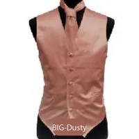 Big-Dusty Mens Solid Vest