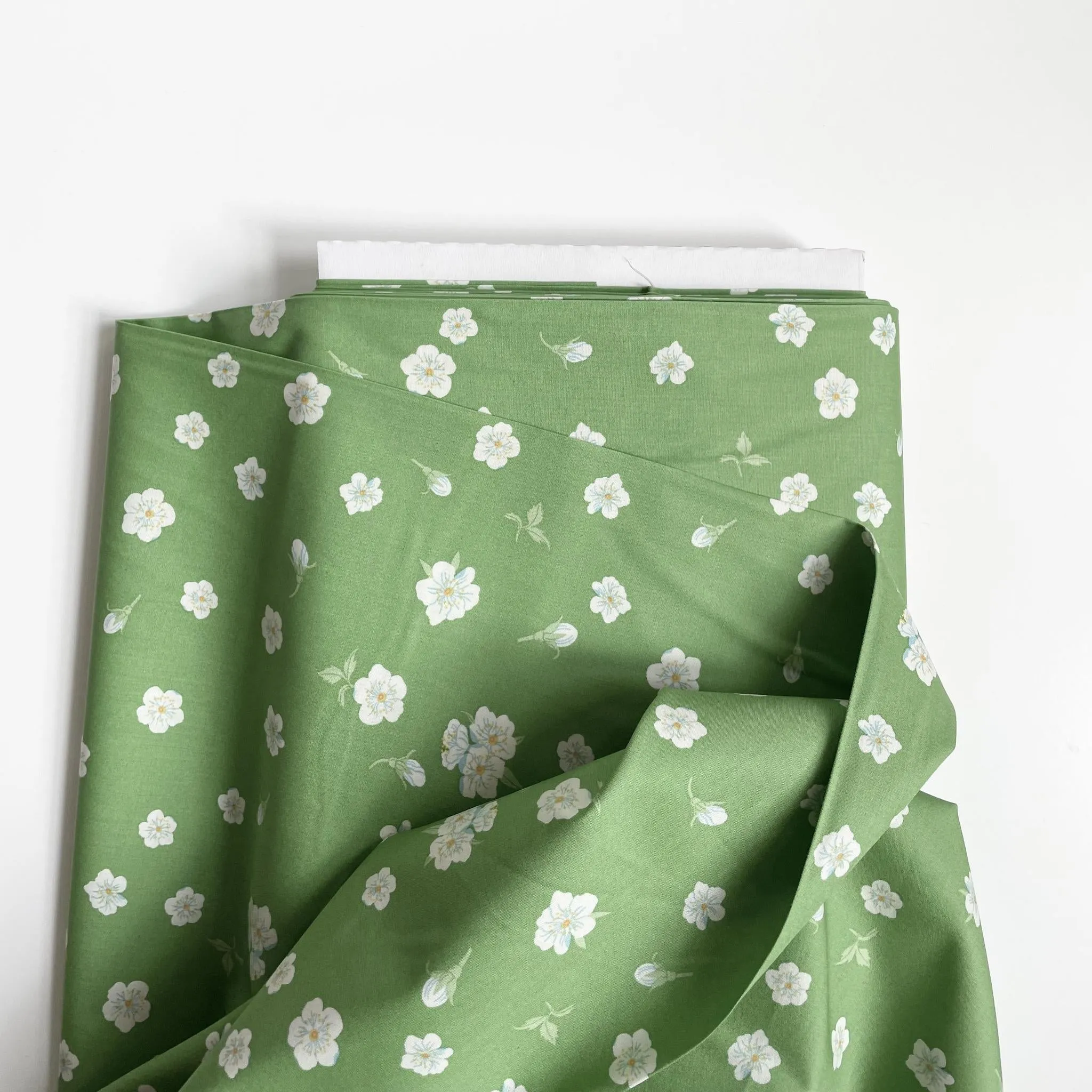 Birch Organic Fabric : Flowering Trees - Plum Bloom